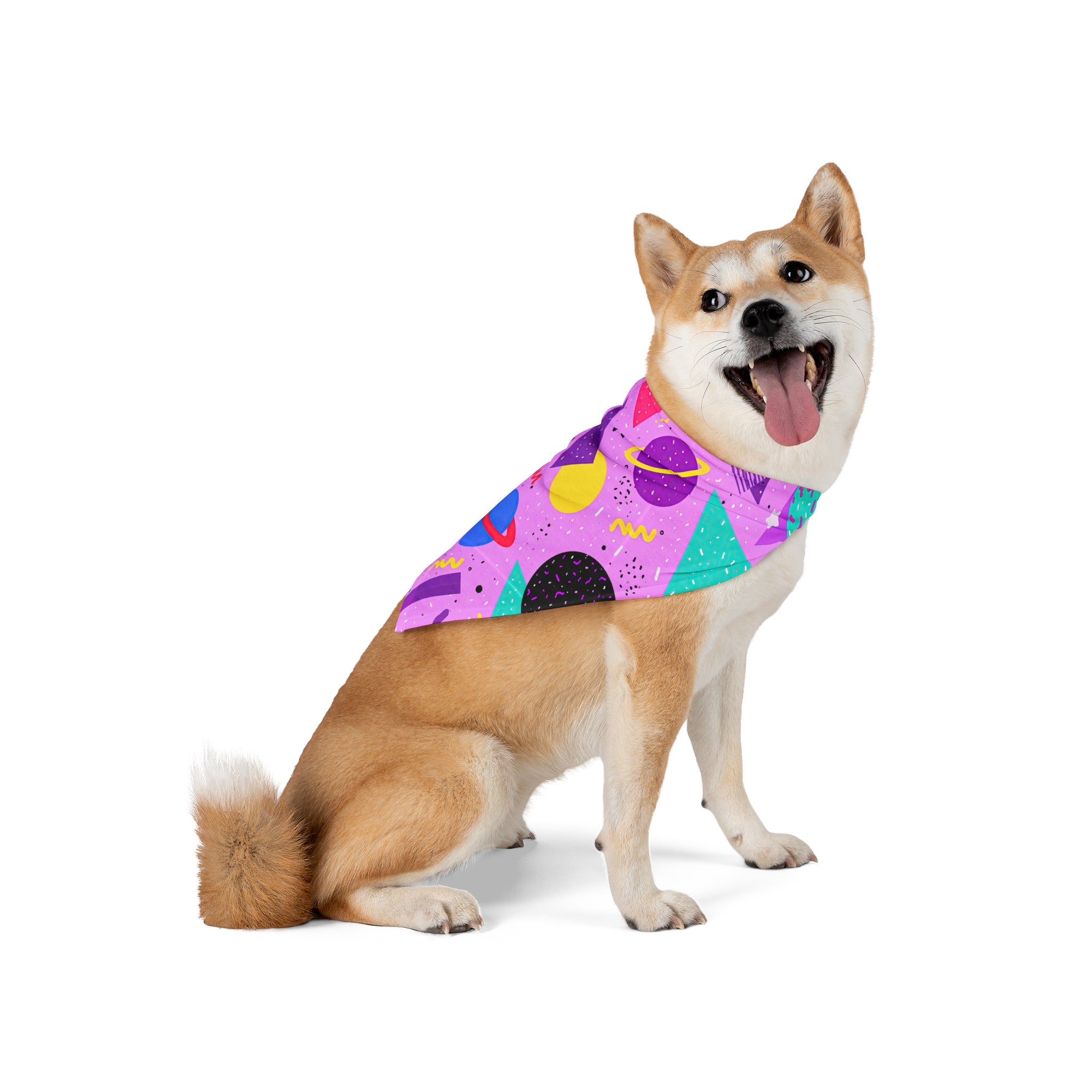 Space Camp | Pet Bandana