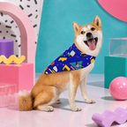 Blue Screen Confetti | Pet Bandana
