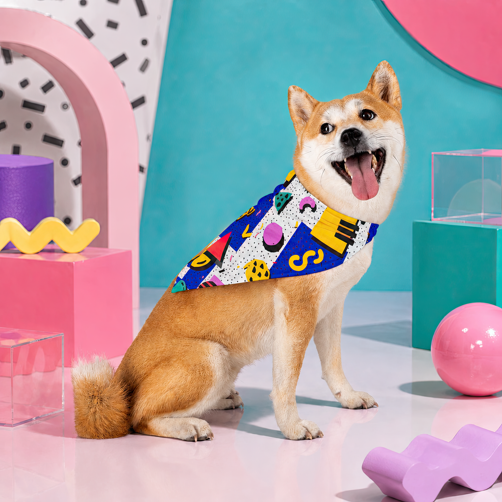 Confetti Construction Zone | Pet Bandana