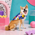 Confetti Construction Zone | Pet Bandana
