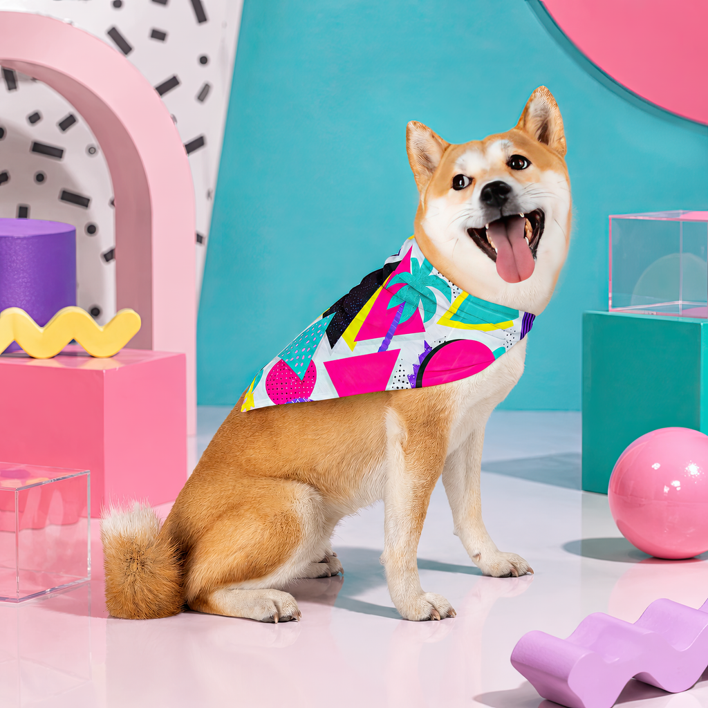 Detention in Paradise | Pet Bandana