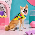 Lunchbox Lightning | Pet Bandana