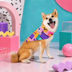 Pastel Block Party | Pet Bandana