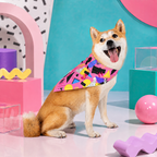Pop Quiz Panic | Pet Bandana