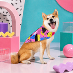 Radical Bubblegum | Pet Bandana