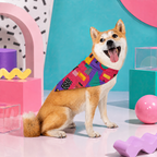 Retro Ranger | Pet Bandana