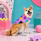 Space Camp | Pet Bandana