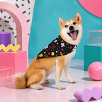 Sprinkle Storm | Pet Bandana